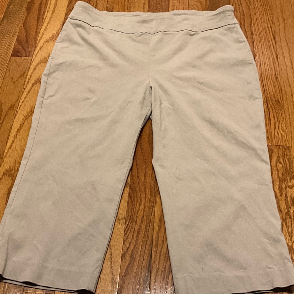 Dana Buchman Light Tan Superstretch Pants